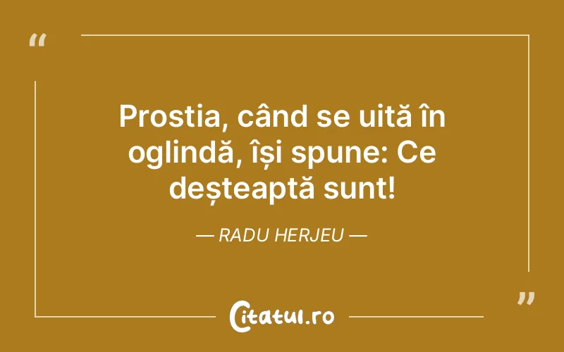 Citat Radu Herjeu - citate viata