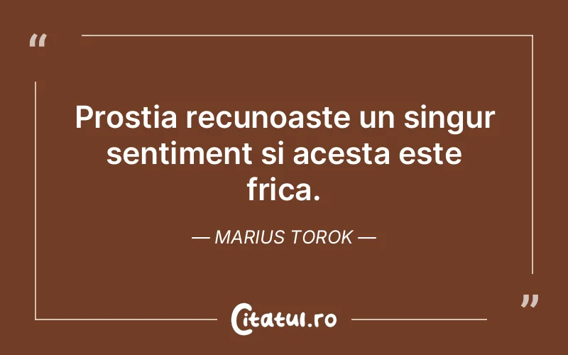 Citat Marius Torok - citate viata