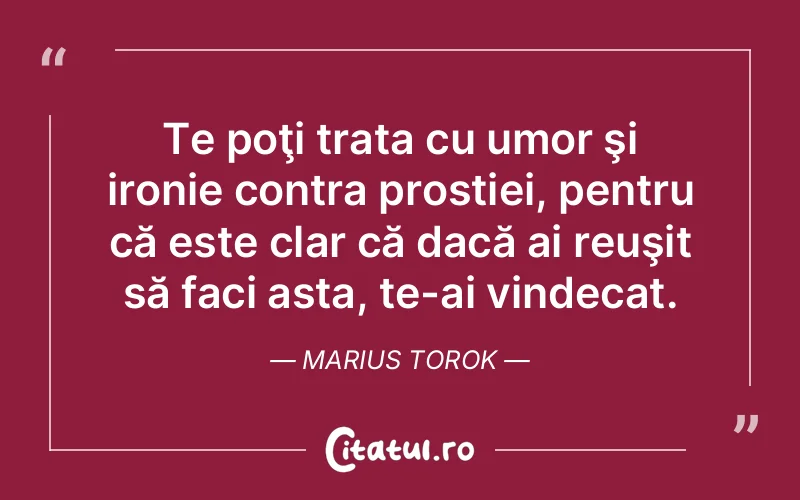 Citat Marius Torok - citate viata