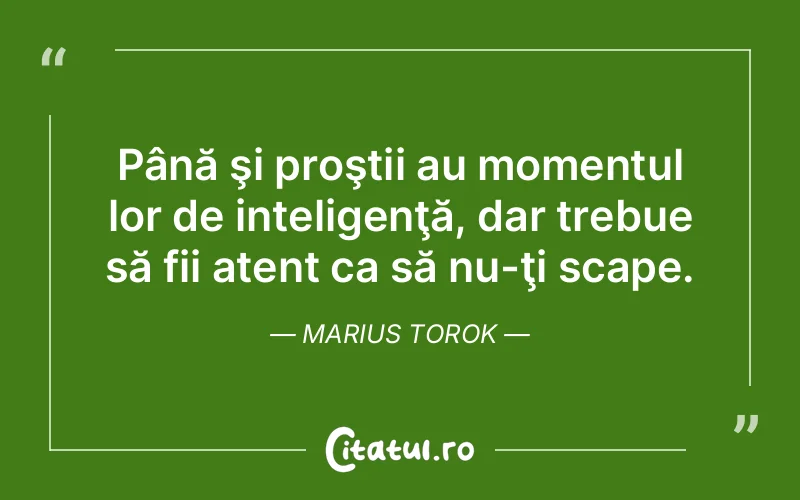 Citat Marius Torok - citate viata