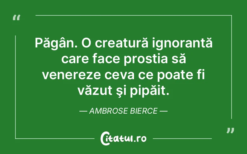 Citat Ambrose Bierce - citate viata
