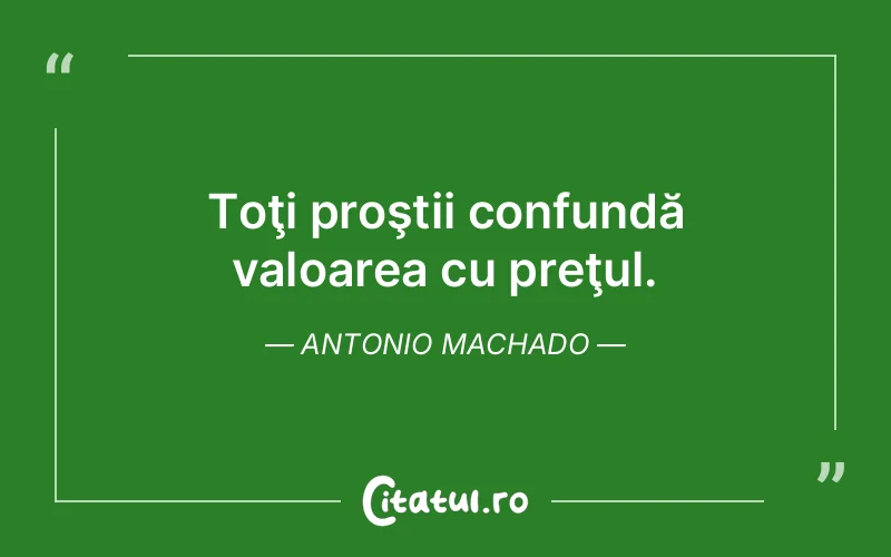 Citat Antonio Machado - citate viata