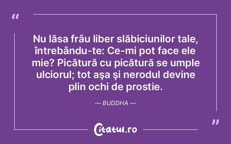 Citat Buddha - citate viata