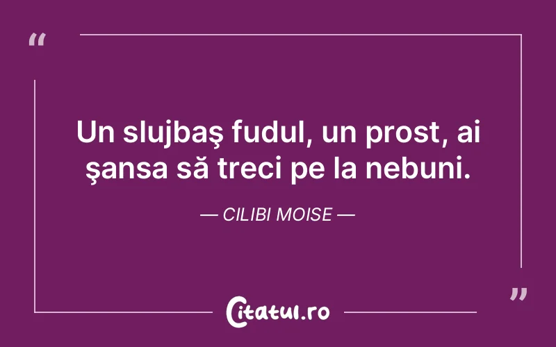 Citat Cilibi Moise - citate viata