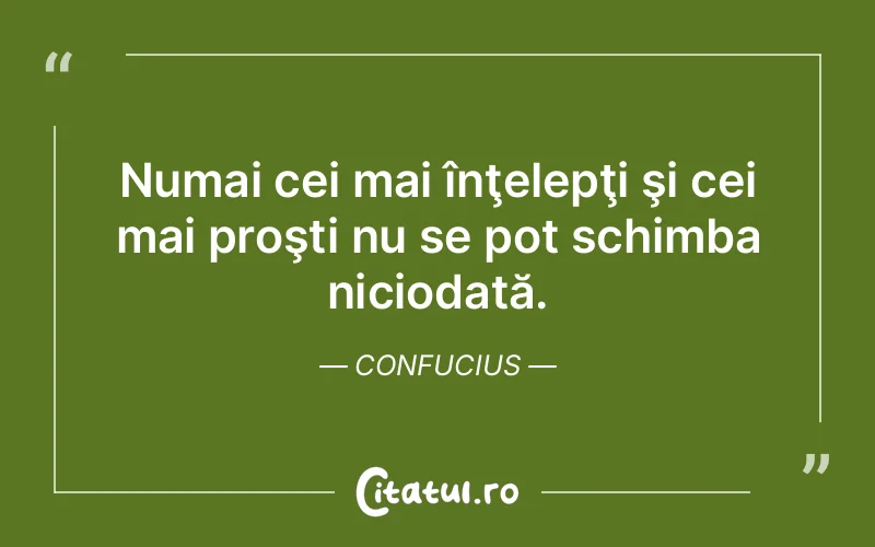 Citat Confucius - citate viata