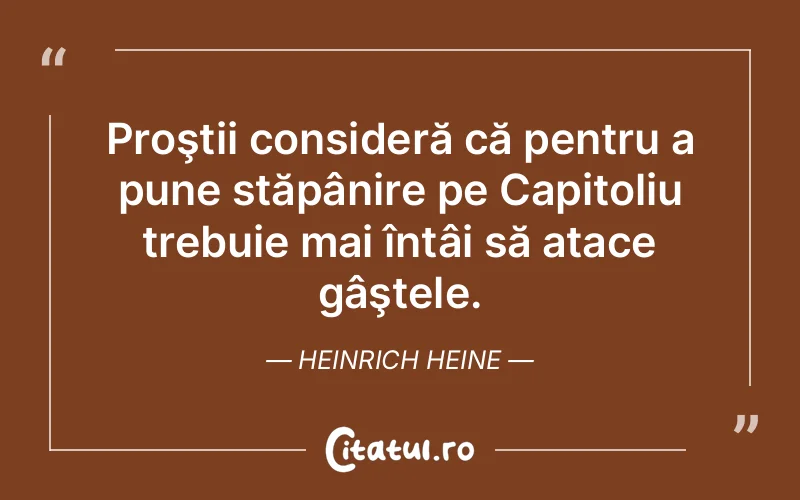 Citat Heinrich Heine - citate viata
