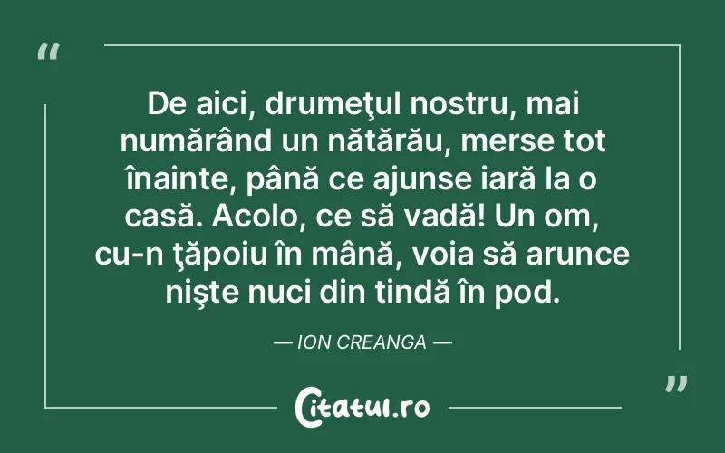 Citat Autor necunoscut - citate viata