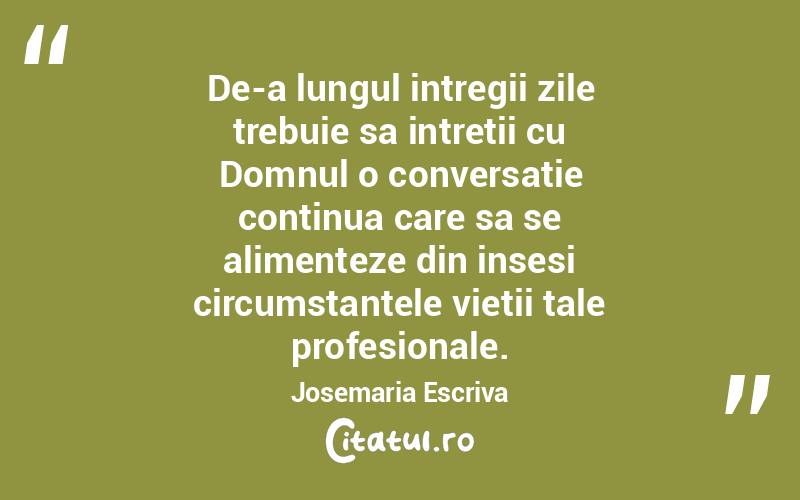 De-a lungul intregii zile trebuie sa intretii cu Domnul o conversatie continua care sa se alimenteze din insesi circumstantele vietii tale profesionale. Josemaria Escriva