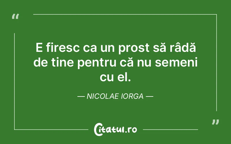 Citat Nicolae Iorga - citate viata