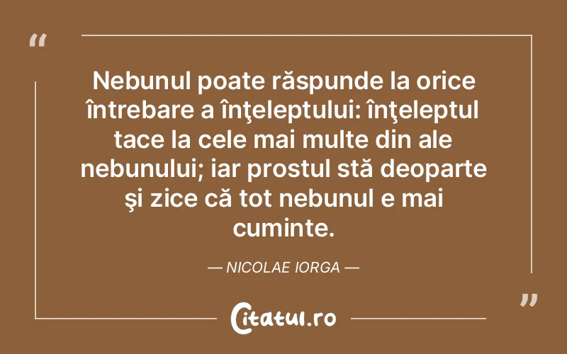 Citat Nicolae Iorga - citate viata