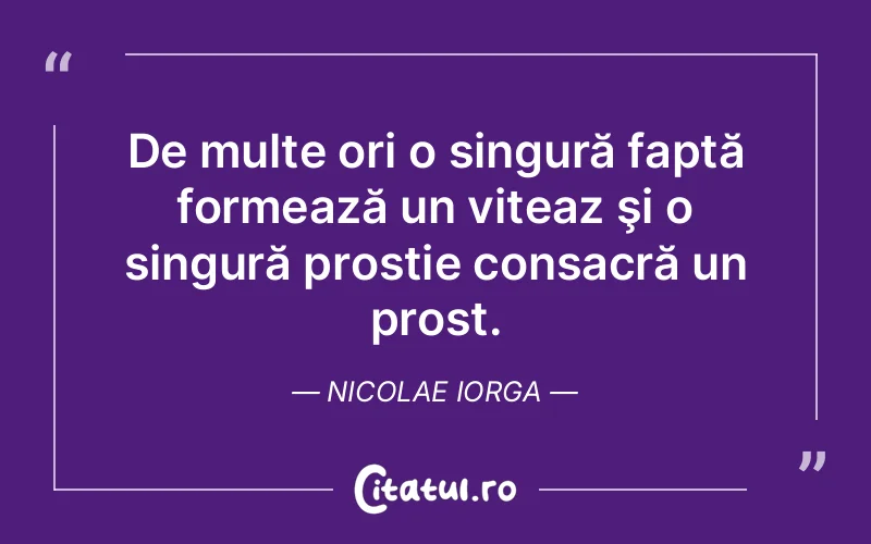 Citat Nicolae Iorga - citate viata
