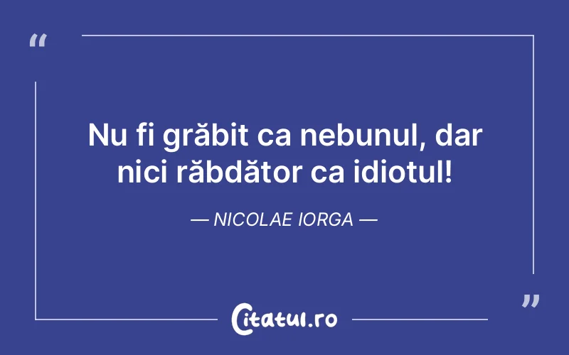 Citat Nicolae Iorga - citate viata