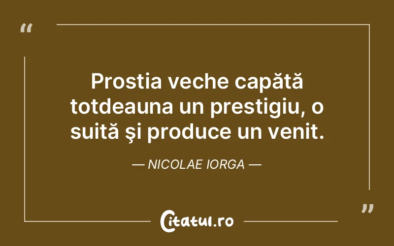 Citat Nicolae Iorga - citate viata