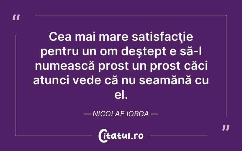 Citat Nicolae Iorga - citate viata