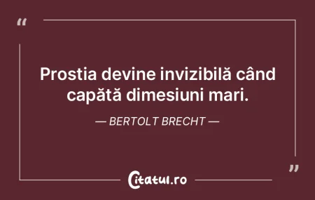 Relatarea unui prost despre ce anume a s... Relatarea unui prost despre ce anume a s...