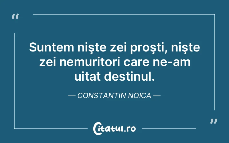 Citat Constantin Noica - citate viata