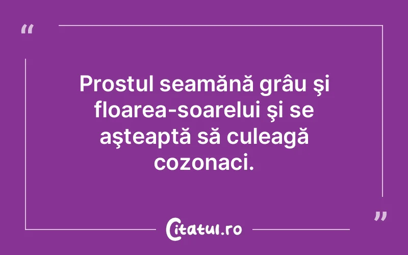 Prostul seamănă grâu şi floarea-soarelui şi se aşteaptă să culeagă cozonaci.