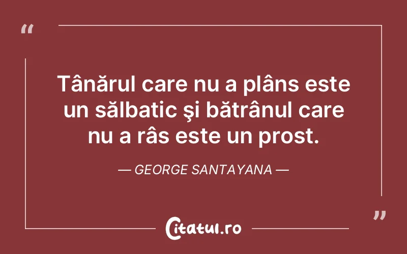 Citat George Santayana - citate viata