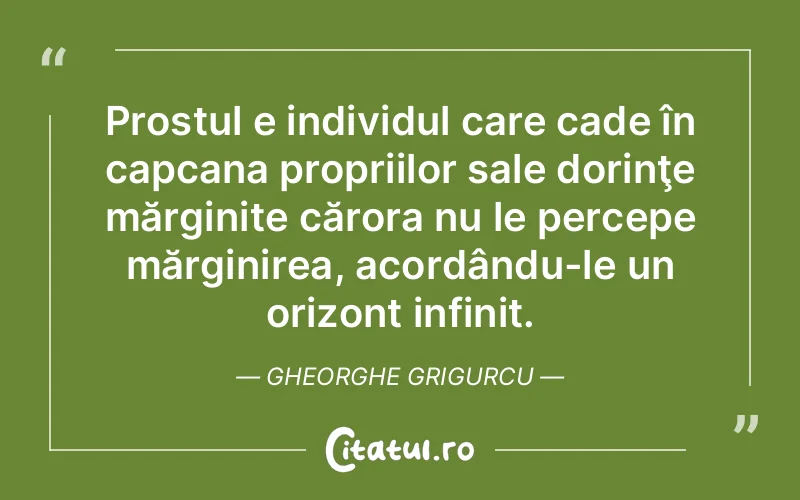 Citat Gheorghe Grigurcu - citate viata