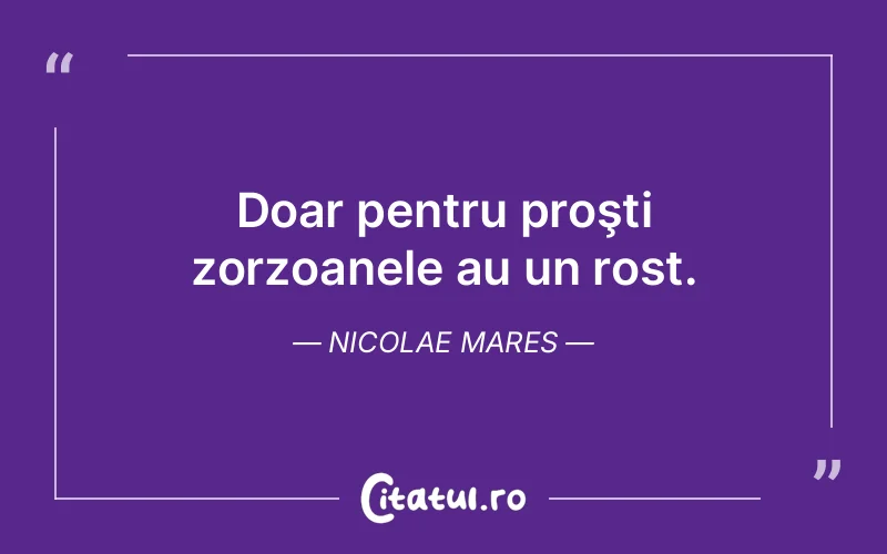 Citat Nicolae Mares - citate viata