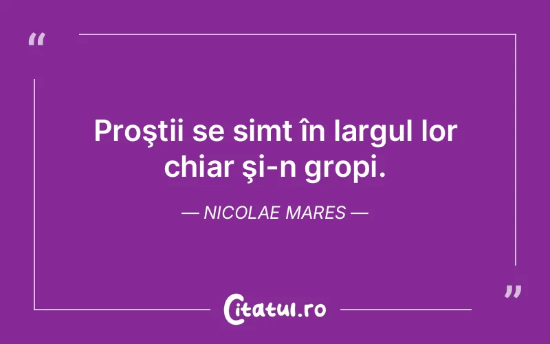 Citat Nicolae Mares - citate viata