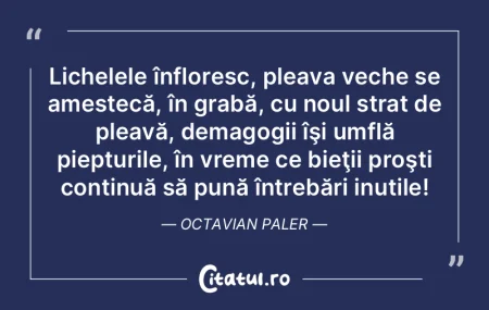 Definiţia neamului prost: acea vedetă ... Definiţia neamului prost: acea vedetă ...