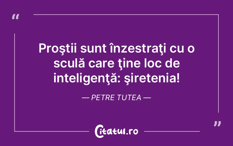 Citat Petre Tutea - citate viata