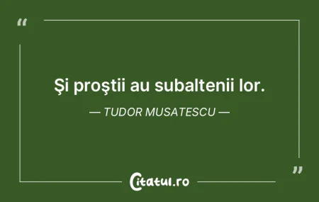 La unii prostia este cu mult mai grea de... La unii prostia este cu mult mai grea de...