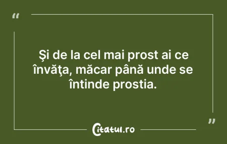 Dacă nu ar exista proşti, mulţi nu ar...