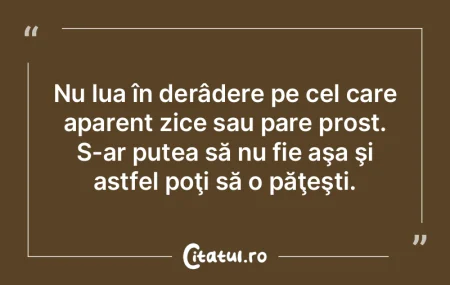 Ironia înţeapă. Prostia înjunghie. Ironia înţeapă. Prostia înjunghie.