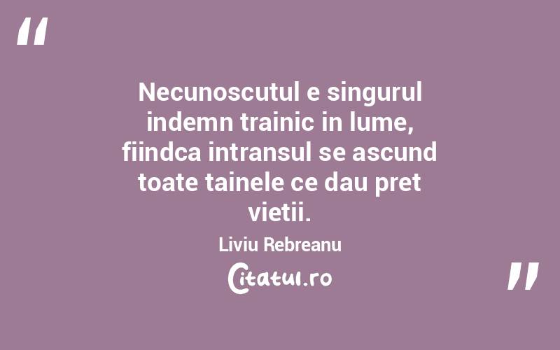 Necunoscutul e singurul indemn trainic in lume, fiindca intransul se ascund toate tainele ce dau pret vietii. Liviu Rebreanu
