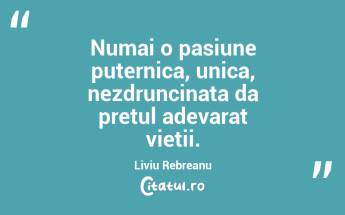 Numai o pasiune puternica, unica, nezdruncinata da pretul adevarat vietii. Liviu Rebreanu...