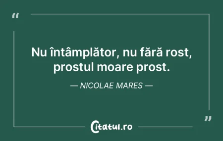 Pentru prost, tactul e un moft. Nicolae ...