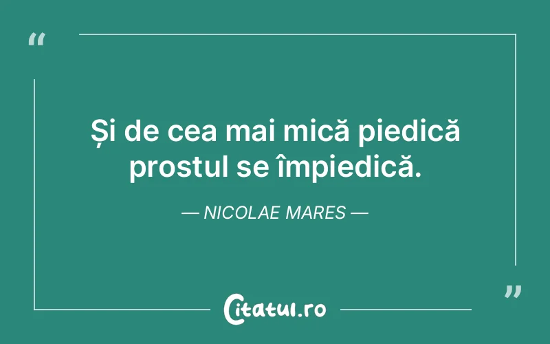 Citat Nicolae Mares - citate viata