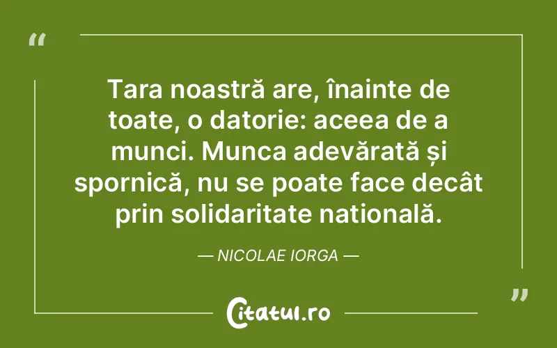 Citat Nicolae Iorga - citate viata