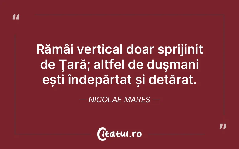 Citat Nicolae Mares - citate viata