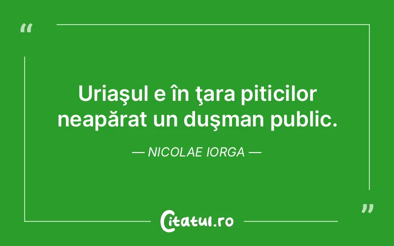 Citat Nicolae Iorga - citate viata