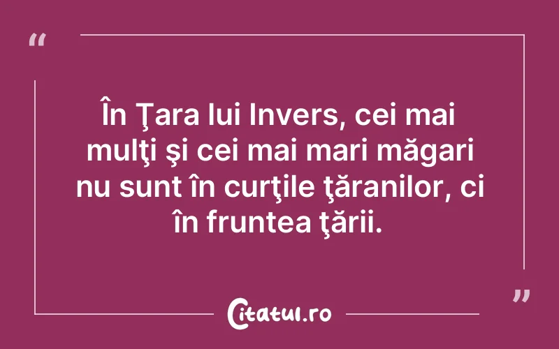 Citat Autor necunoscut - citate viata