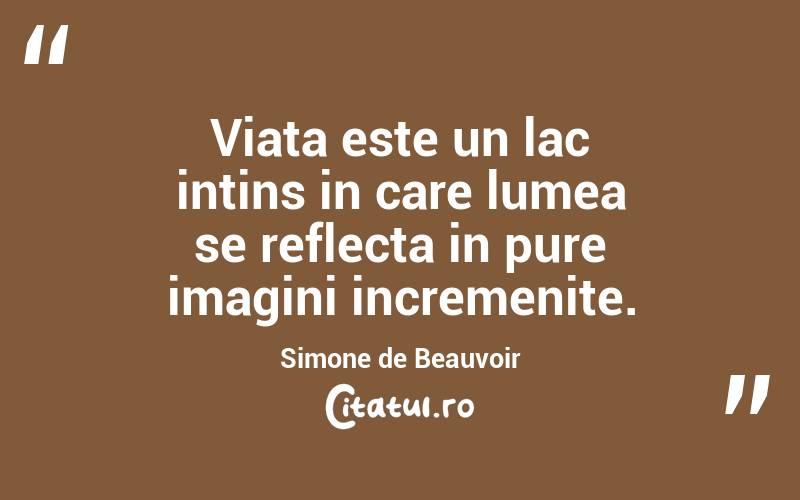 Viata este un lac intins in care lumea se reflecta in pure imagini incremenite. Simone de Beauvoir
