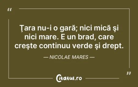 Pentru mine eroii neamului sunt stejari ... Pentru mine eroii neamului sunt stejari ...
