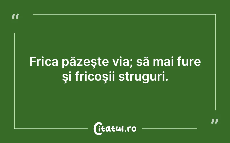 Citat Autor necunoscut - citate viata