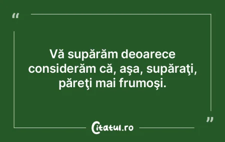 Da, am toate defectele unui bun român.