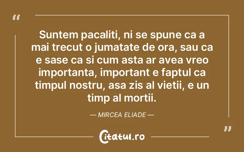 Citat Mirce - citate viata