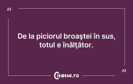 Nenorocirea este că s-au scumpit ţigă...