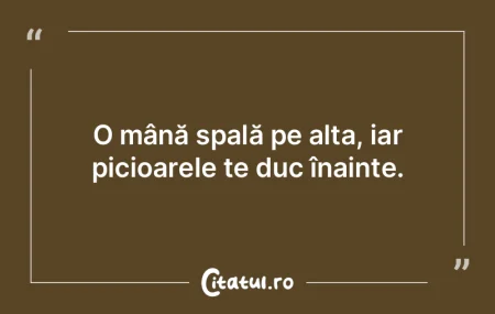 Unde se impun regulile unui joc, jocul d...