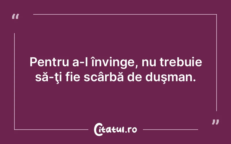 Citat Autor necunoscut - citate viata