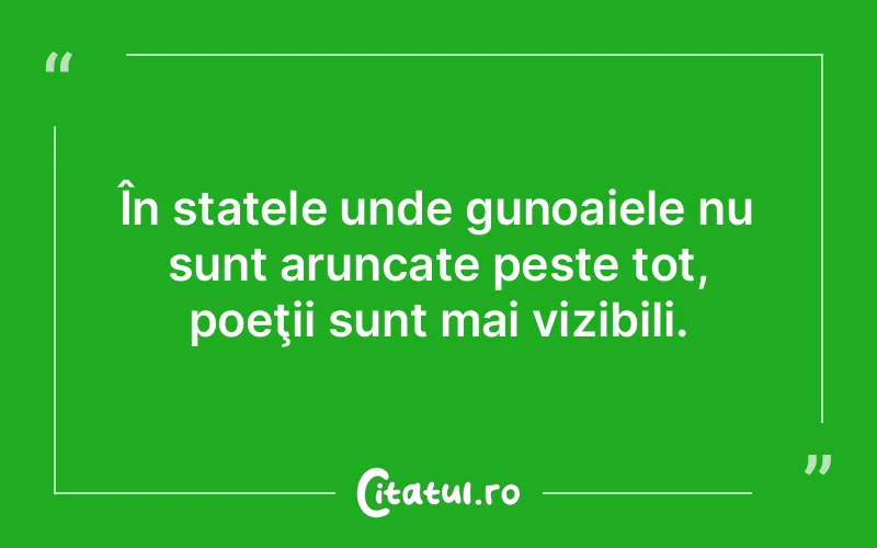 Citat Autor necunoscut - citate viata