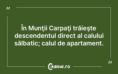 Citat Viață - Citatul.ro