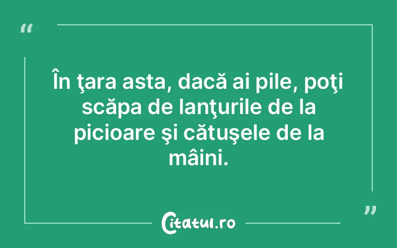 Citat Autor necunoscut - citate viata