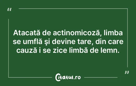 Ce calamitate mai mare s-ar putea abate ...